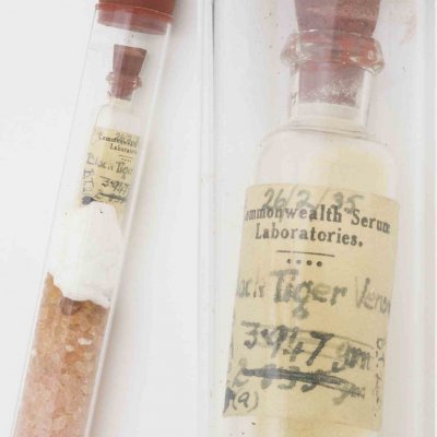 Picture of vial of venom collected by Commonwealth Serum Laboratories in 1935 